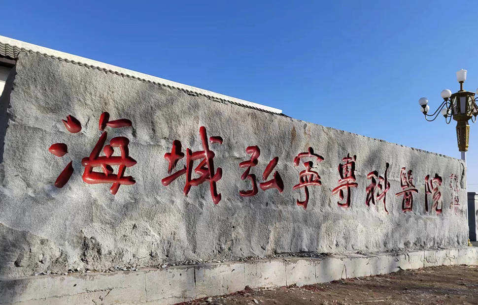 遼寧省海城弘寧醫(yī)院20500平采暖項目