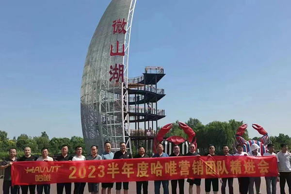 同比增長200%！看哈唯市場引擎如何發(fā)力